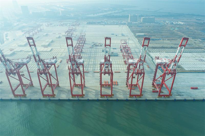 1641861095215926.jpg 1.jpg